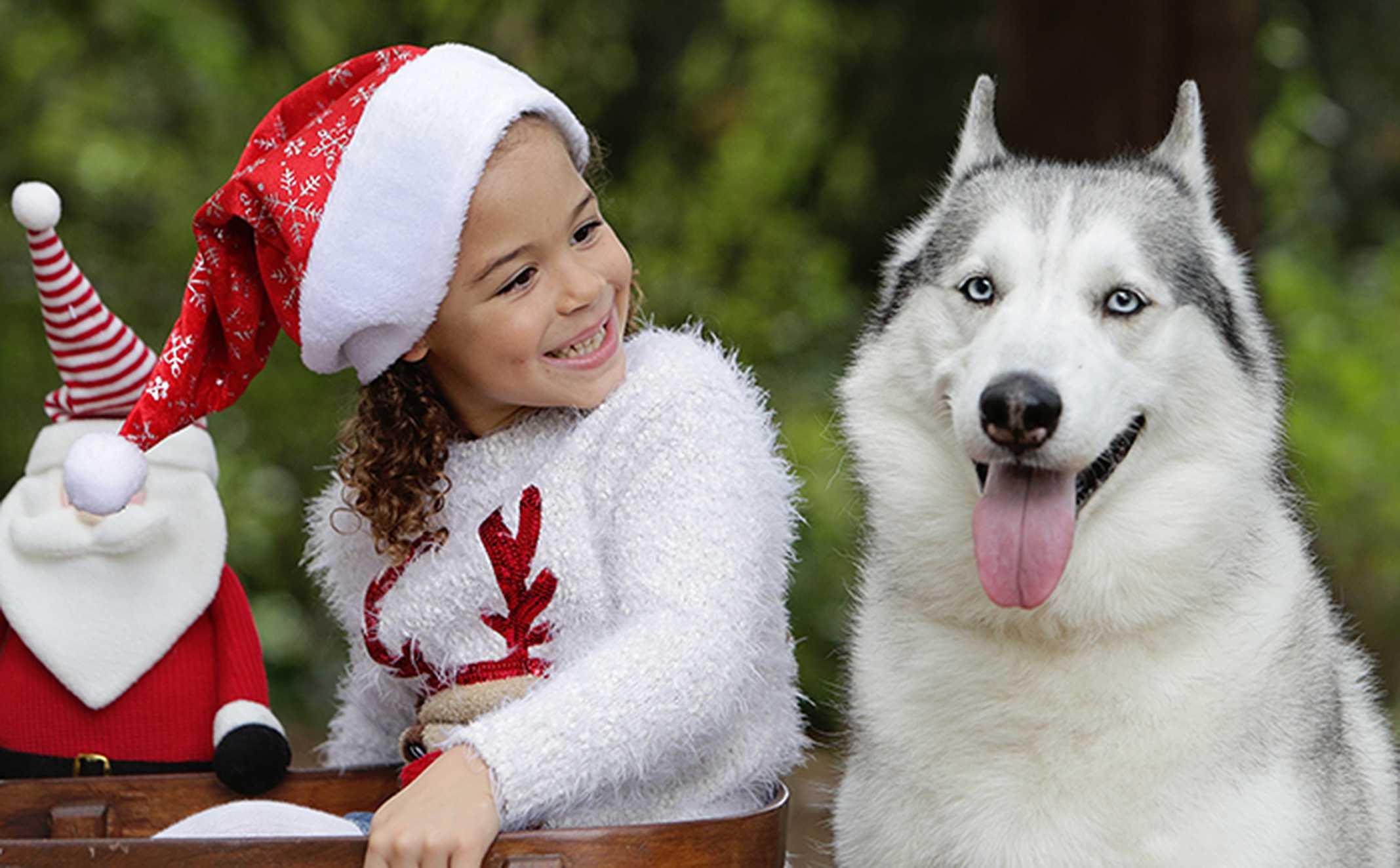 Alyssa wearing a Santa hat with her pet Husky.